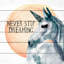 'Never Stop Dreaming' Print On White Wood-1967573302