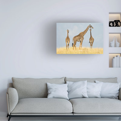 Mohammed Alnaser Trio Canvas Art
