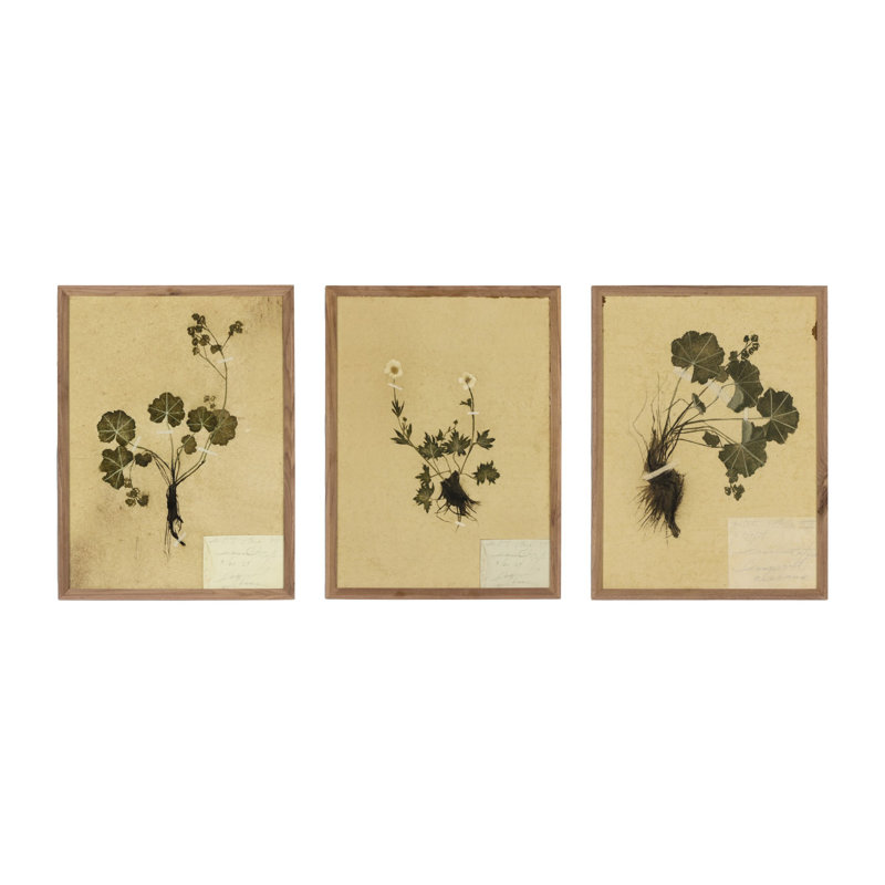 Petite Study Triptych Painting by Hannah Winters, 18" H x 43.5" W