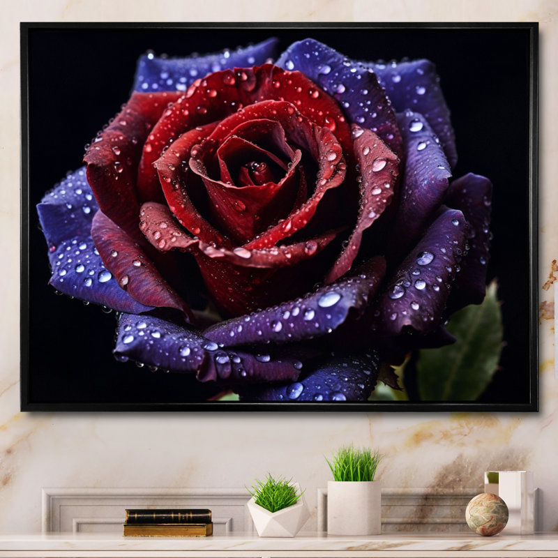 Rose rouge et mauve avec gouttes de pluie - art mural floral, 30" H x 40" W, Cadre flottant noir