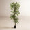 66'' Faux Ficus Tree in Pot