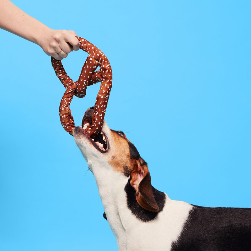 Best Of Bark Box Accessories