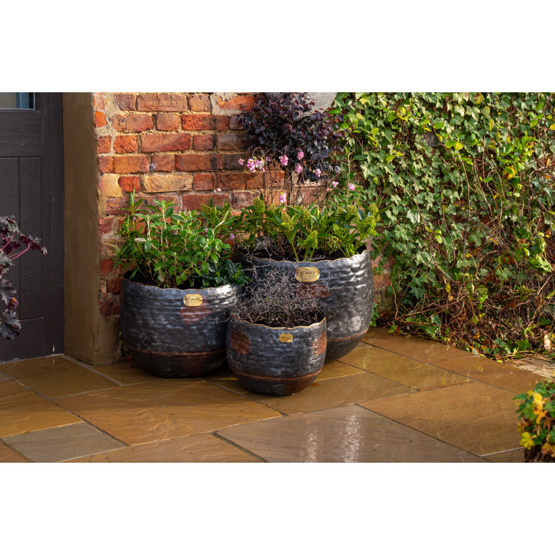 Alessio Metal Pot Planter