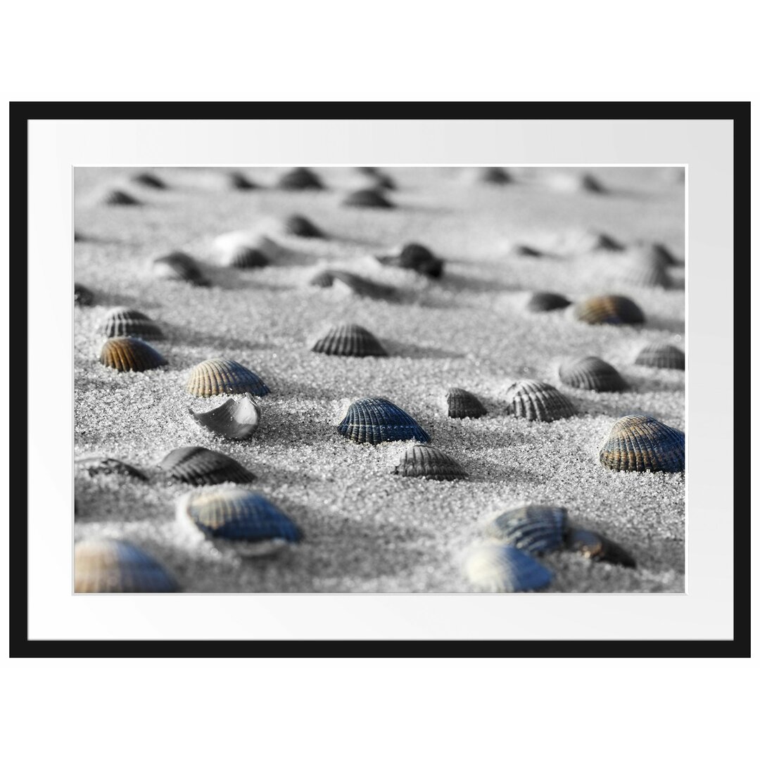 Muscheln im Sand Gerahmter Fotokunstdruck Poster