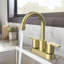 Robinet de salle de bain à 2 poignées avec ensemble de drain Alamo inclus en nickel brossé-91289253