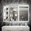 Armoire de salle de bain multifonctionnelle 20 po x 32 po, éclairage intégré, température de couleur continue, armoire à DEL intelligente côté miroir avec miroir grossissant 5X, fonction brouillard et tablettes de rangement