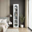 Grande armoire vitrée à 6 portes pour le salon, la cuisine, la chambre à coucher et le bureau