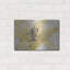 «Lark Manor ™», «Transparent Fleurs I» par Tim O'Toole, art mural en métal-2118627246
