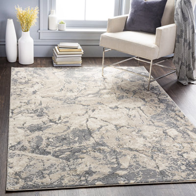Adelaida Abstract Indoor Rug