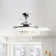 Park Row 42'' Ceiling Fan with Light Kit