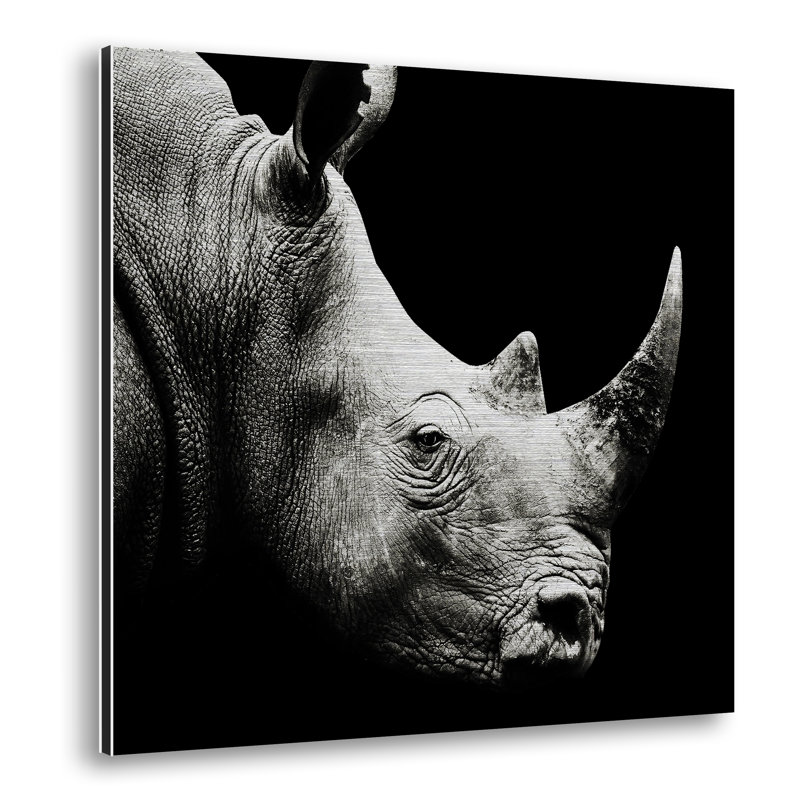 Rhino - No Frame Print on Metal