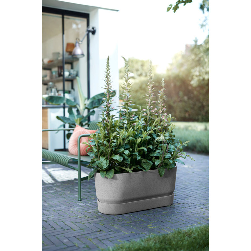 Planter Box, Living Concrete, 33.5 x 35 x 78