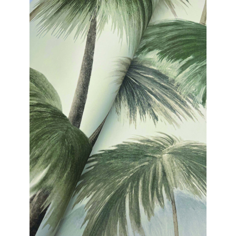 Madisyn tropical non gâché, Rétro