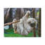 No Frame Print on Canvas