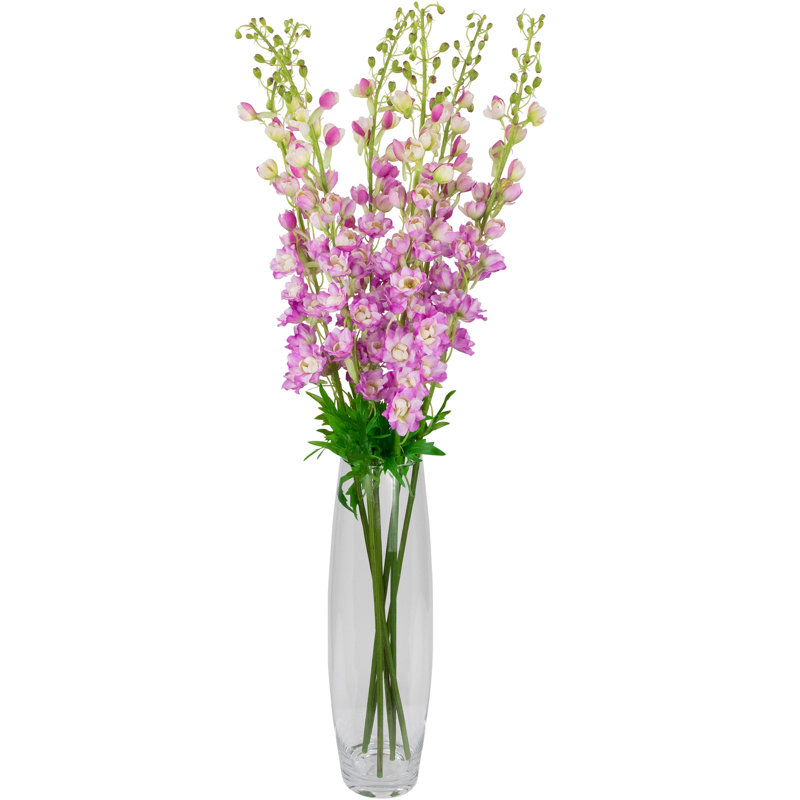 Tiges Delphinium, Rose