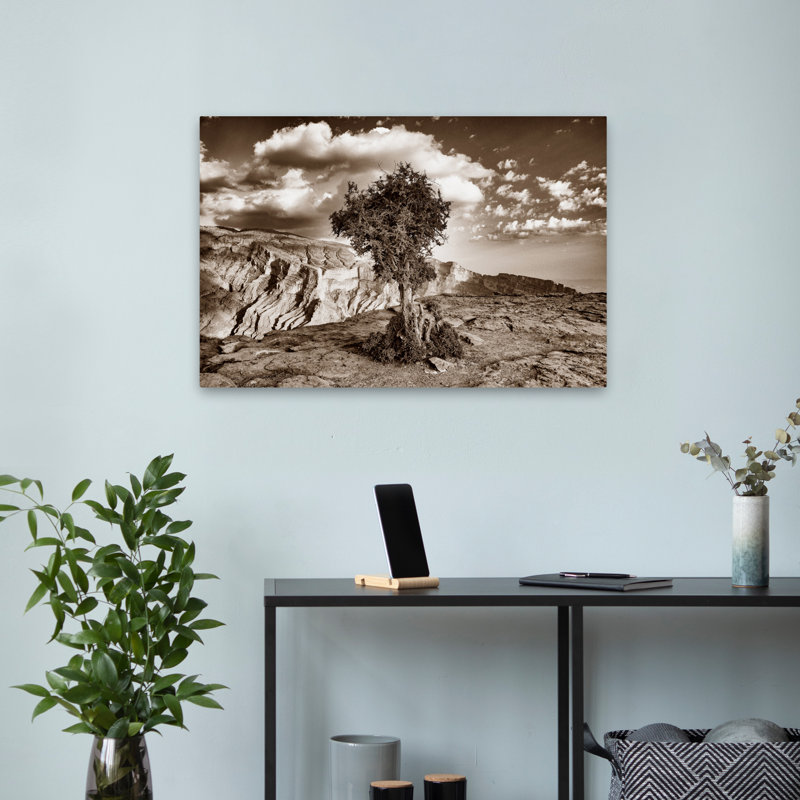 Simple Solitude Contemporary Landscape Cloud Desert, 24" H x 16" W