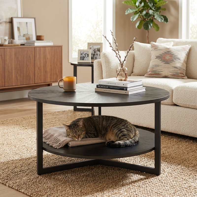 Frame Coffee Table with Storage, Black