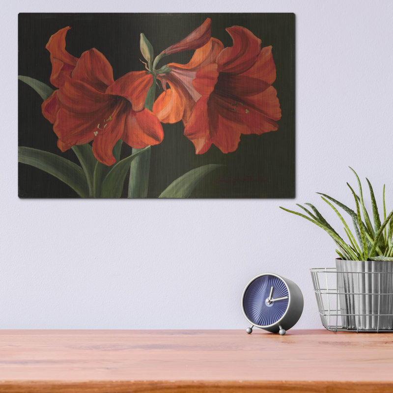 "Amaryllis" par Christopher Pierce, H 12 po x l 16 po