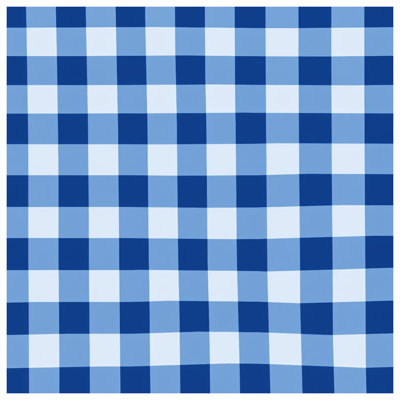 Blue White Gingham Comforter