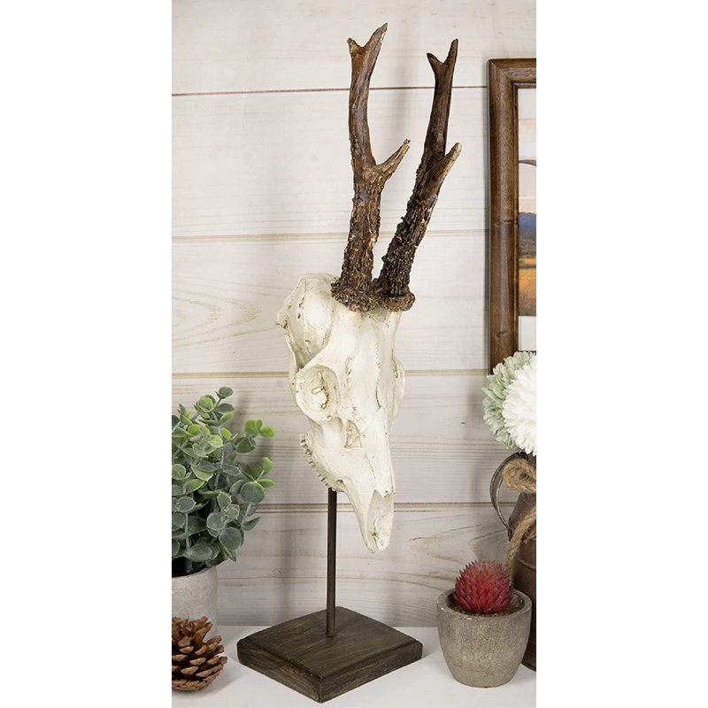 Animals Bust