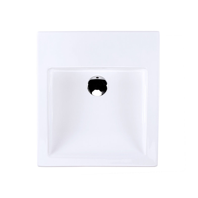 Aquagrande 18.5'' L Bathroom Sink, 0 Hole