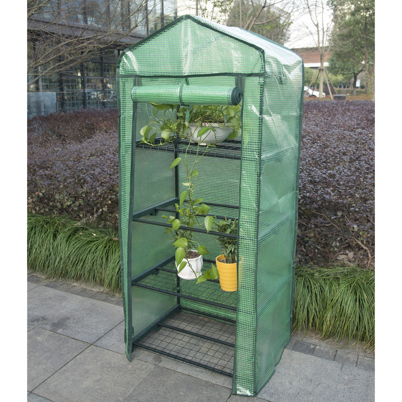 Ellerslie 4.7 Ft W x 11.8 Ft D Mini Greenhouse, Green