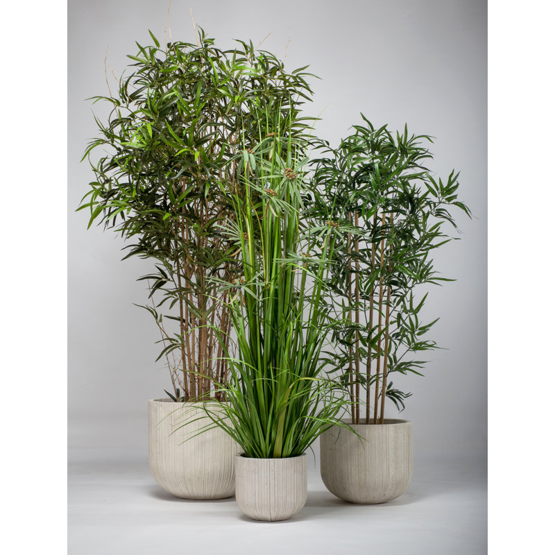 Faux Flowering Plant in Planter, 120cm H x 120cm W x 40cm D