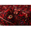 Tapis rouge Andelz 2 pi 8 po x 16 pi 3 po