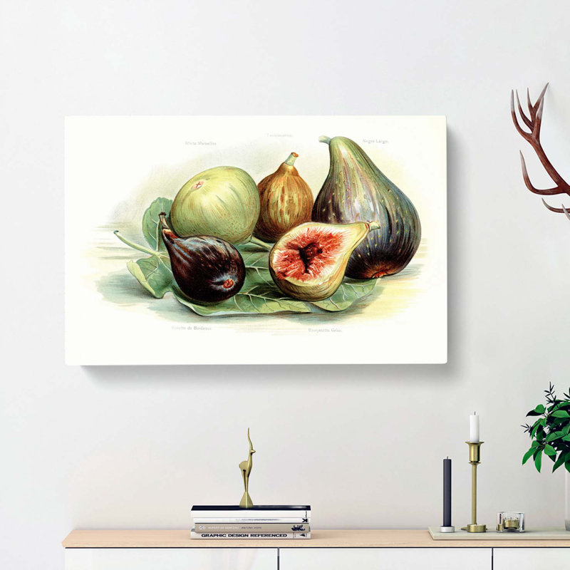 Vintage Illustration of Figs - Wrapped Canvas, 35cm H x 50cm W x 3cm D