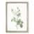 Oak Framed selected