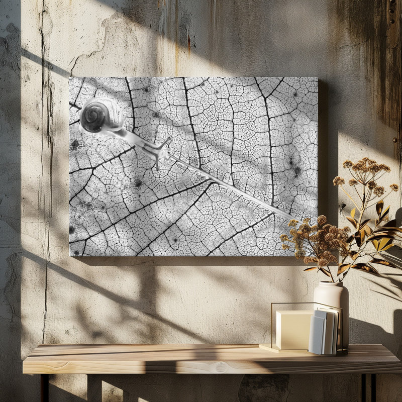 Wrapped Canvas Print, 76.2 cm H x 50.8 cm W