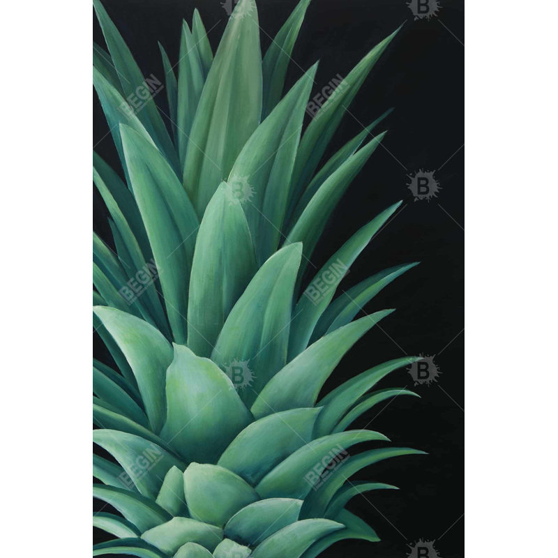 " Pineapple Leaves "