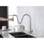 Robinet de cuisine à grande arche à poignée simple avec tirette - Nickel brossé, acier inoxydable, plaque de pont, style nickel simple-363958890