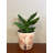 Bamboo Blooms 7" Pink Flower Round Self-Watering Indoor/Outdoor Bamboo Plant Pot-94209018