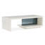 Modern Expressions Coffee Table