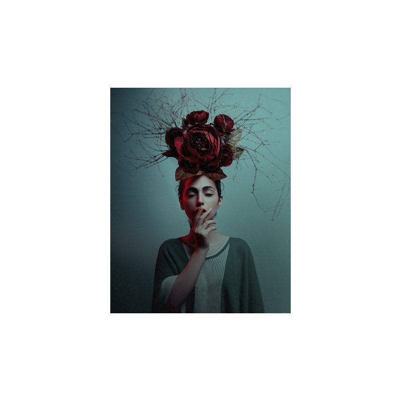 Wrapped Canvas Print, 76.2 cm H x 50.8 cm W
