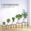 Plant Stand - Set of 5-1988547564
