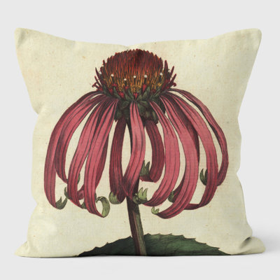 Echineacea Purpurea - Botanical Cushion