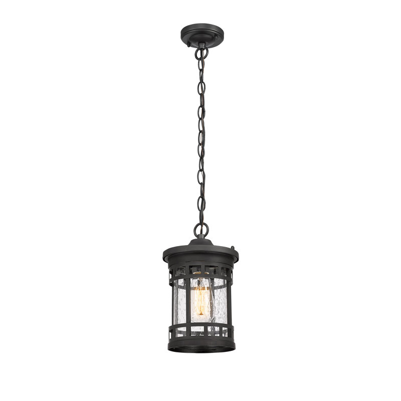 Outdoor Pendant Lantern–Anti-Rust Farmhouse Hanging Light Fixture, Waterproof Metal Cage Outdoor Chandelier For Porch, Patio, Gazebo, Entryway (Black,11 Inch Height)
