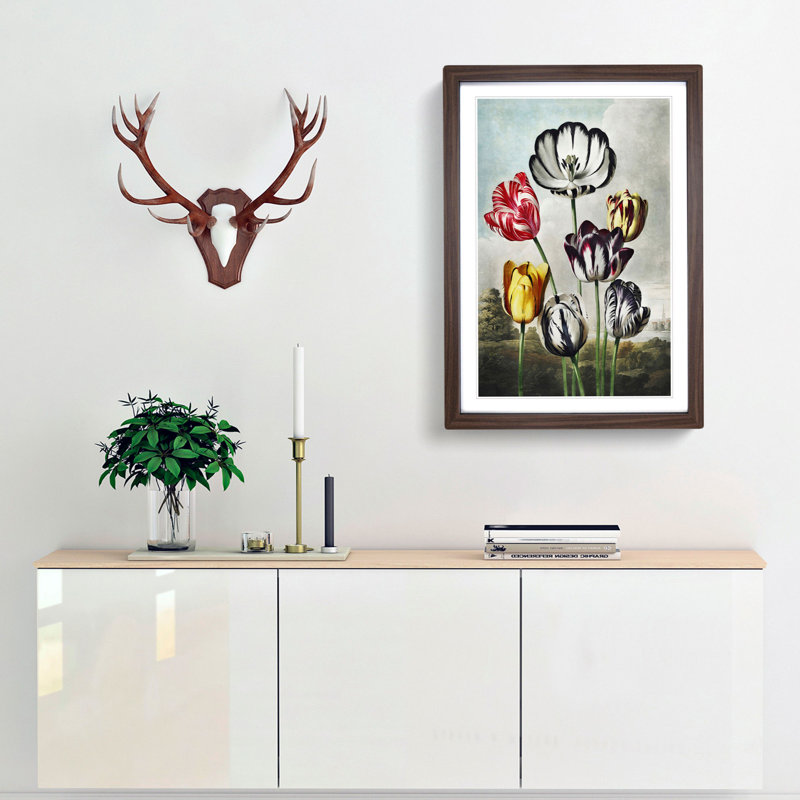 Striped Tulips by R.J. Thornton - Framed Print, 48cm H x 36cm W x 2cm D, Walnut Framed