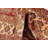 Nero Red Rug