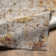 Mckeehan Abstract Indoor Rug