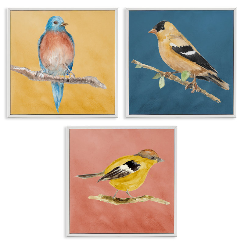 «Brilliant Birds on Branches», ensemble de 3 giclées par Lanie Loreth, Estampe numérique encadrée blanc bord de mer