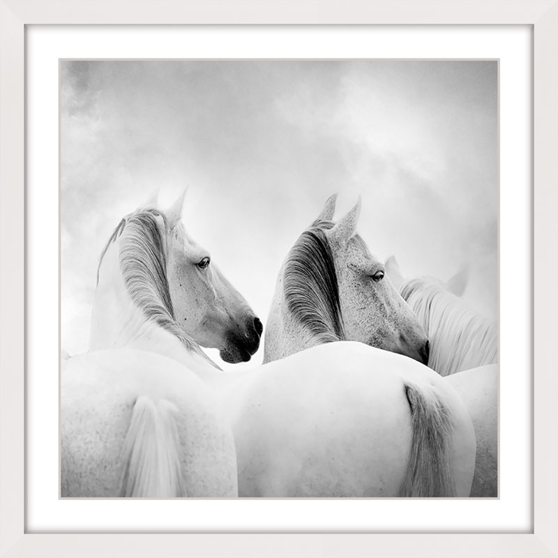 Single Picture Frame Print, 41 x 41cm