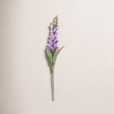 Fuchsia Stems