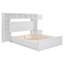 Lit en bois avec armoire tout-en-un, tablette et douilles, lit gigogne simple-264517482-264517487