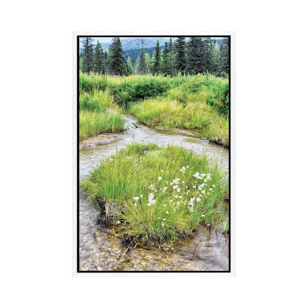 Alaska Marshland by Savanah Plank - Gallery-Wrapped Canvas Giclée on Canvas
