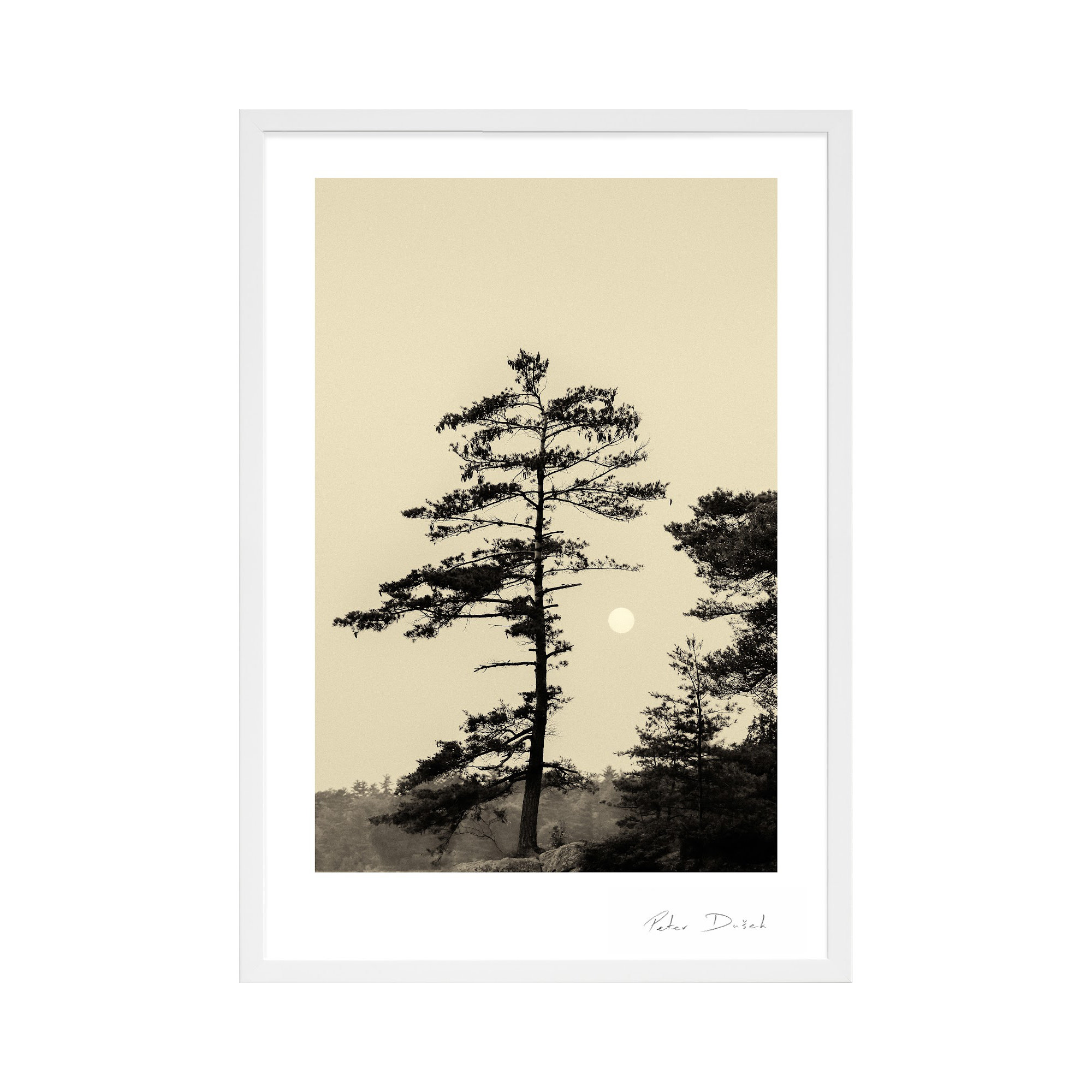 Serenity by Peter Dušek, White, 38" H x 26.5" W x 1.25" D