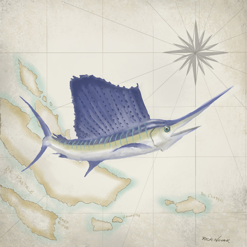 Sailfish Map II by Rick Novak - Wrapped Canvas Painting, 91cm H x 91cm W
