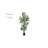 Faux Kentia Palm Tree-1642241720
